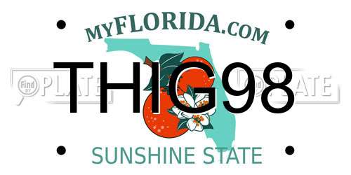 THIG98 Florida License Plate
