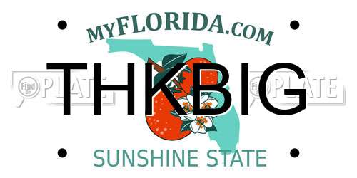 THKBIG Florida License Plate