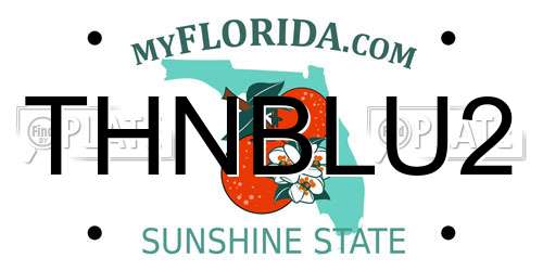 THNBLU2 Florida License Plate