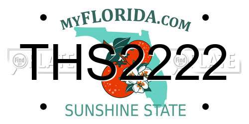 THS2222 Florida License Plate