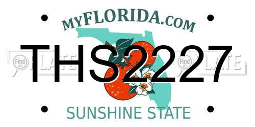 THS2227 Florida License Plate