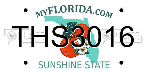 THS3016 Florida License Plate