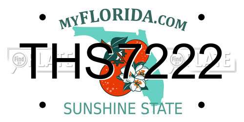 THS7222 Florida License Plate