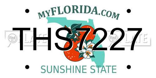 THS7227 Florida License Plate