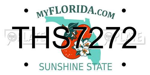 THS7272 Florida License Plate
