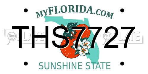 THS7727 Florida License Plate
