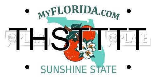 THSTTTT Florida License Plate