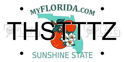 THSTTTZ Florida License Plate