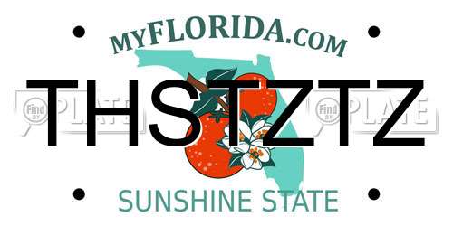 THSTZTZ Florida License Plate