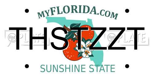 THSTZZT Florida License Plate