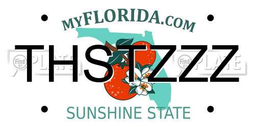 THSTZZZ Florida License Plate