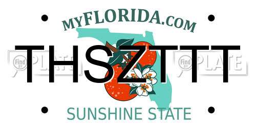 THSZTTT Florida License Plate
