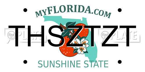 THSZTZT Florida License Plate