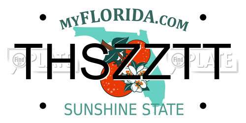 THSZZTT Florida License Plate