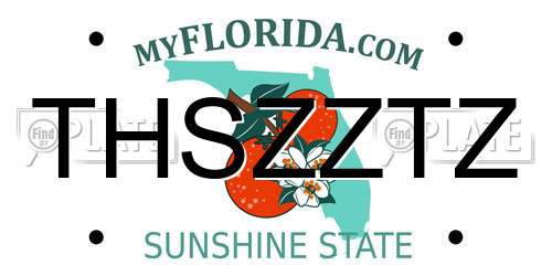THSZZTZ Florida License Plate