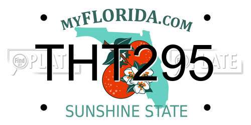 THT295 Florida License Plate