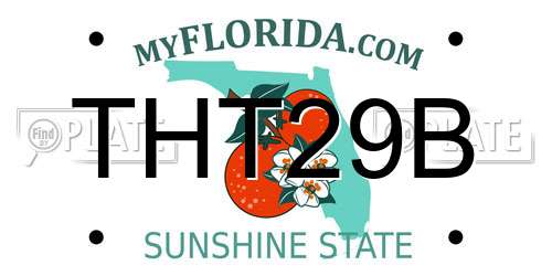 THT29B Florida License Plate