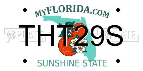 THT29S Florida License Plate