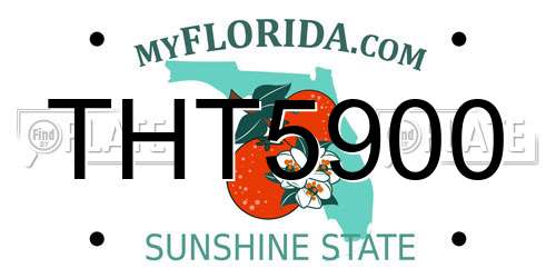 THT5900 Florida License Plate