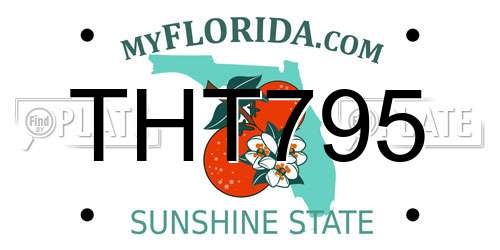 THT795 Florida License Plate