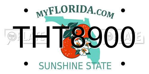 THT8900 Florida License Plate