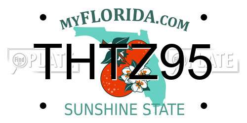 THTZ95 Florida License Plate