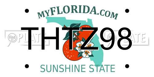 THTZ98 Florida License Plate