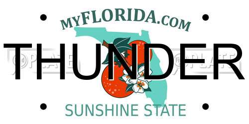 THUNDER Florida License Plate