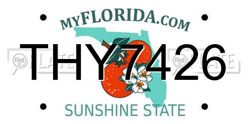 THY7426 Florida License Plate