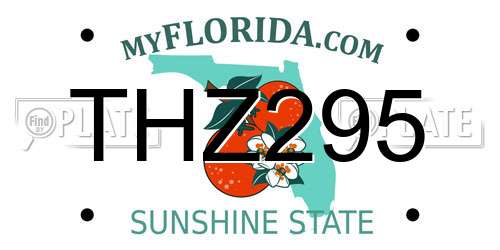 THZ295 Florida License Plate