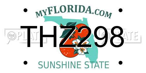 THZ298 Florida License Plate