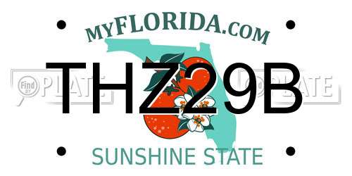 THZ29B Florida License Plate