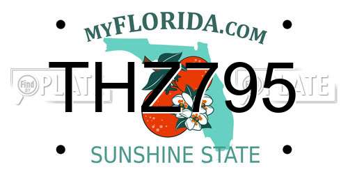 THZ795 Florida License Plate