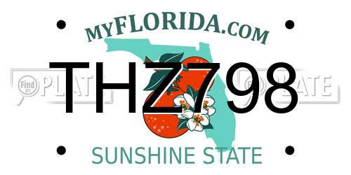 THZ798 Florida License Plate
