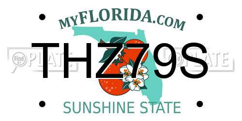 THZ79S Florida License Plate