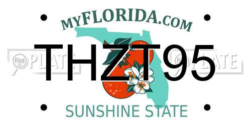 THZT95 Florida License Plate