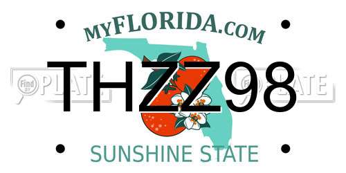 THZZ98 Florida License Plate