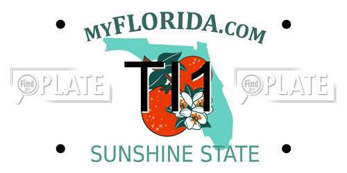 TI1 Florida License Plate