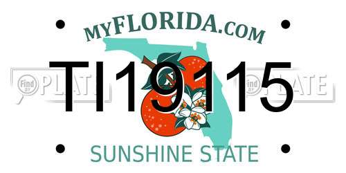 TI19115 Florida License Plate