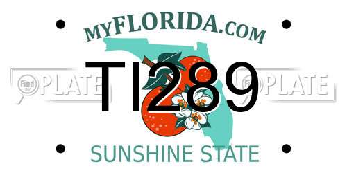 TI289 Florida License Plate