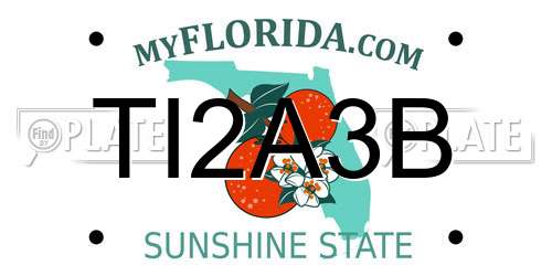 TI2A3B Florida License Plate