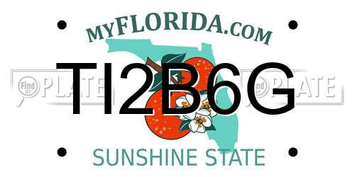 TI2B6G Florida License Plate