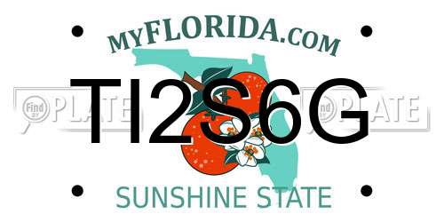 TI2S6G Florida License Plate