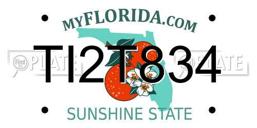 TI2T834 Florida License Plate