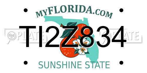 TI2Z834 Florida License Plate