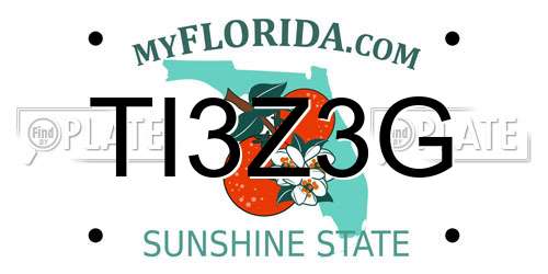 TI3Z3G Florida License Plate