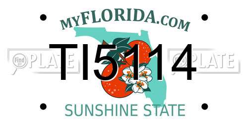 TI5114 Florida License Plate