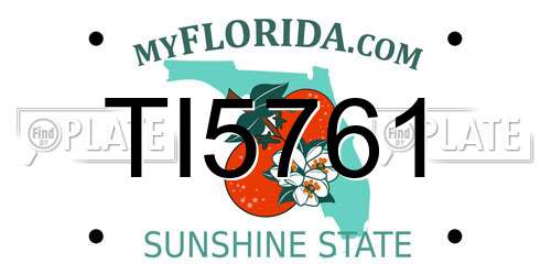 TI5761 Florida License Plate