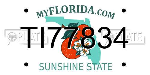 TI77834 Florida License Plate