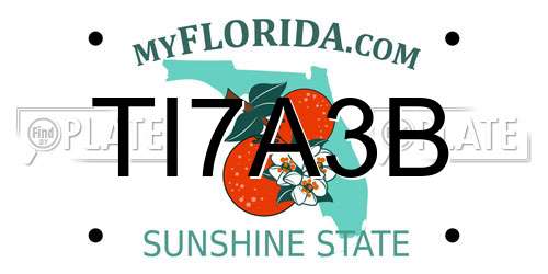 TI7A3B Florida License Plate